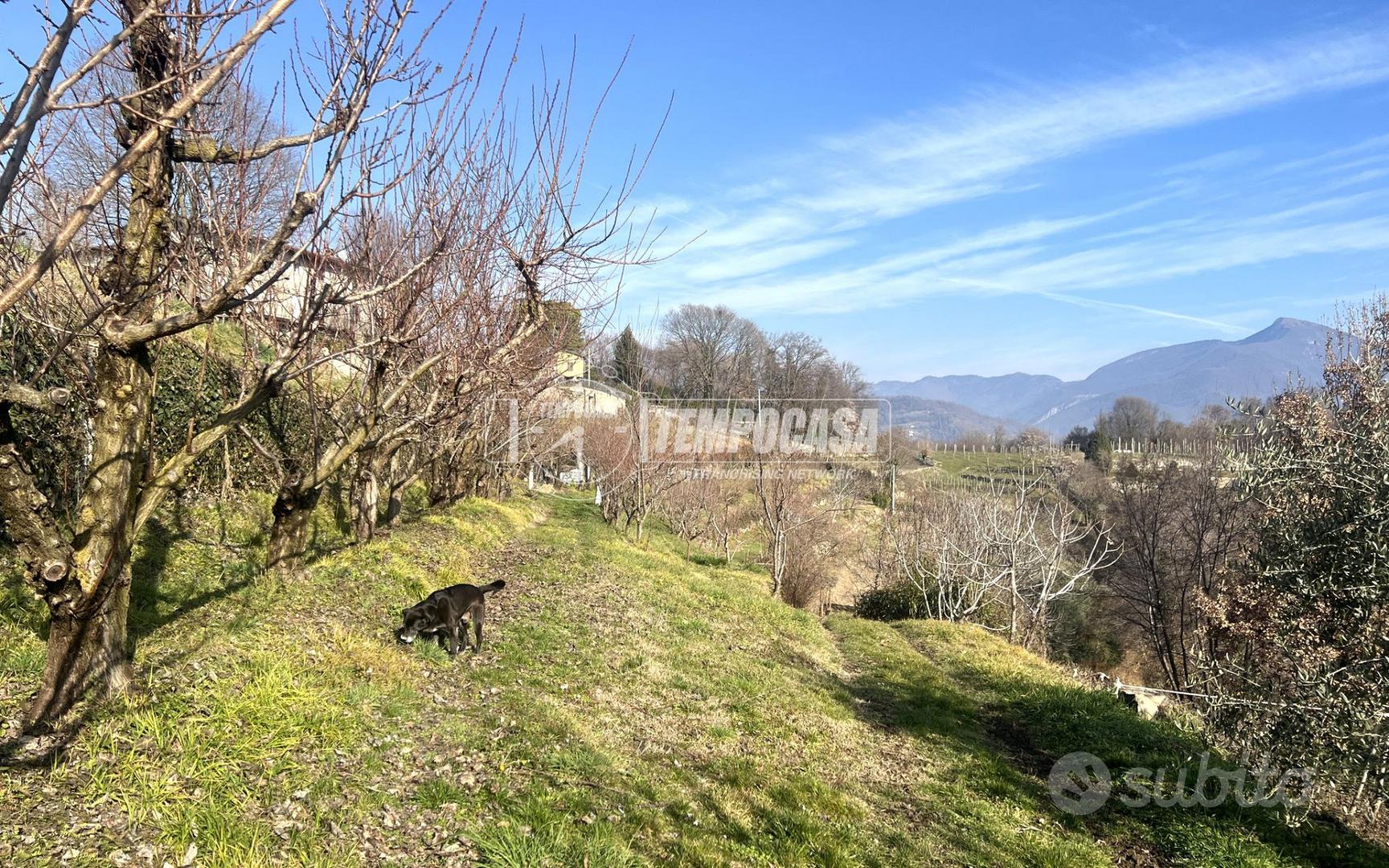 TERRENO AGRICOLO CON VISTA PANORAMICA - Vista 3