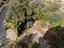 Immagine 29