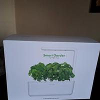 smart garden con semi di basilico 