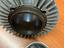 Immagine 5
