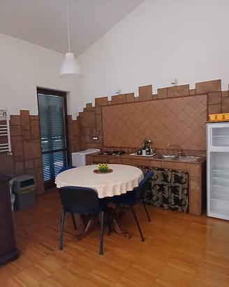 Ampio attico open space in villa palestrina