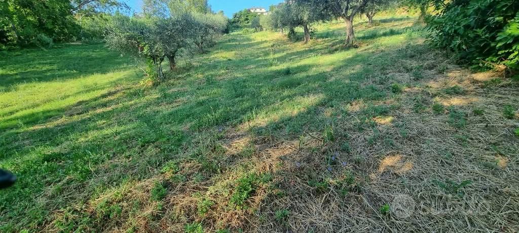 Terreno di 4309 m² a Gemmano - Altro