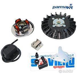 Accensione Elettronica PARMAKIT 2,2 kg Carbon PX
