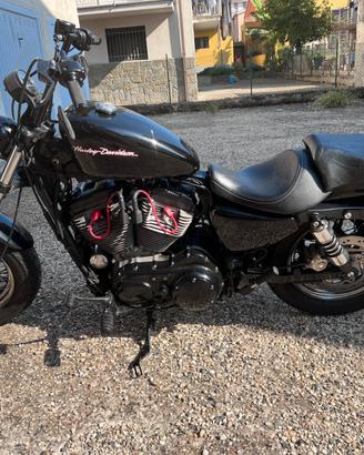 Harley Davidson 883 XL LOW