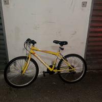 Bicicletta mountain bike magnum per ragazzi
