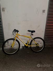 Bicicletta mountain bike magnum per ragazzi