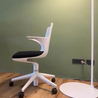 Spedia Kartell Spoon Chair by CITTERIO