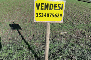 Vendita terreni agricoli - zona Moimacco