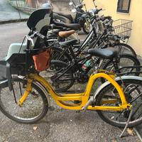 Family bike con seggiolino
