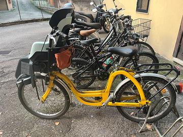 Family bike con seggiolino