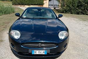 Big Cat V8