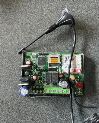 dieffematic modulo gsm