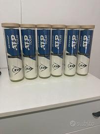 6 tubi da 4 palline tennis dunlop atp