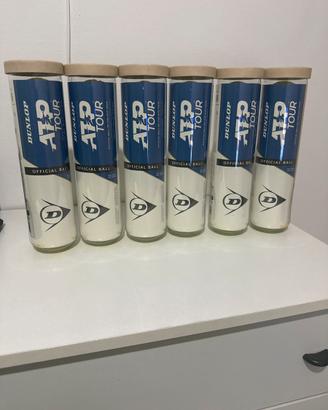 6 tubi da 4 palline tennis dunlop atp