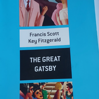 The great gatsby