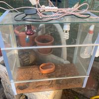 Teca per camaleonte o altri rettili