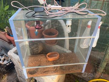 Teca per camaleonte o altri rettili