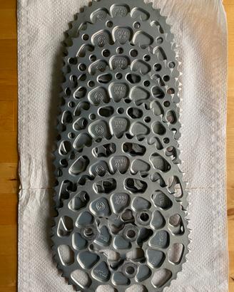 Pit bike corone sitta