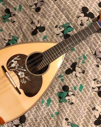 Calace Mandolino napoletano modello n26