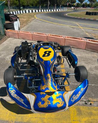 Kart Rotax Max 125 fr Praga + Carrello Appendice