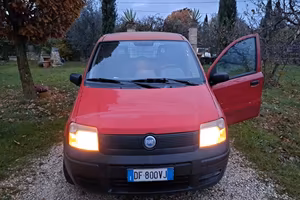 Panda autocarro