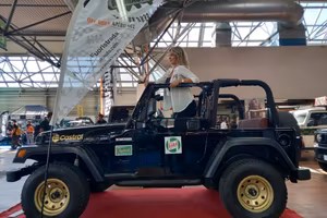 Jeep Wrangler 4.0 cat Hard top (EU)