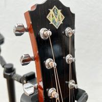 Chitarra Acustica Morgan OM