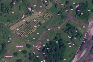 Terreno - Agrumeto - 5773 mq