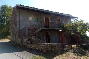 Vendita casale + terreni con uliveto zona veroli