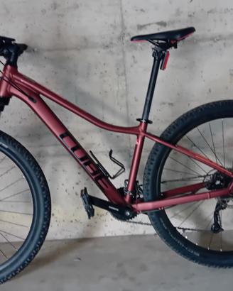 mountain bike