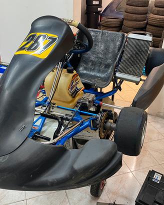 Kart 125 oberon tm kz