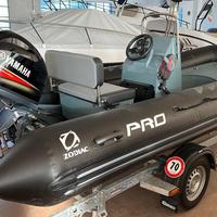 Zodiac Pro Classic 500