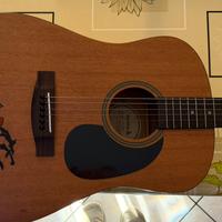 Chitarra professionale classica