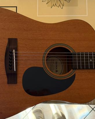 Chitarra professionale classica