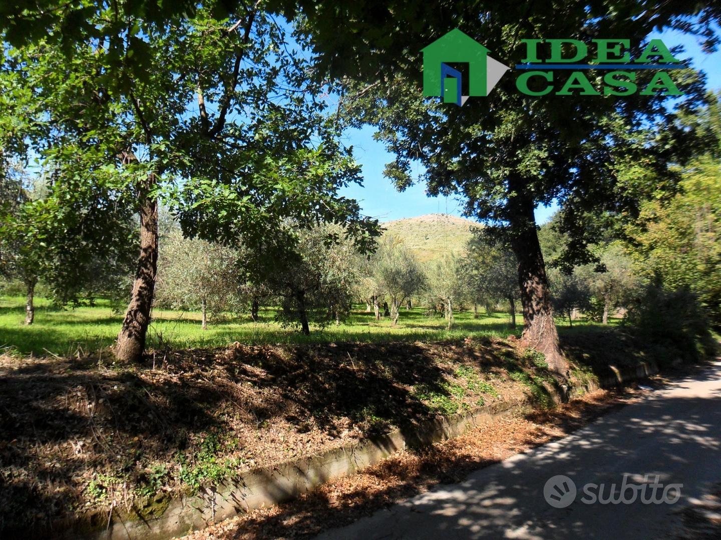 4500mq Terreno pianeggiante - Vista 4