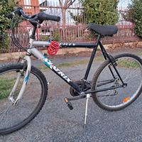 Bici uomo 26