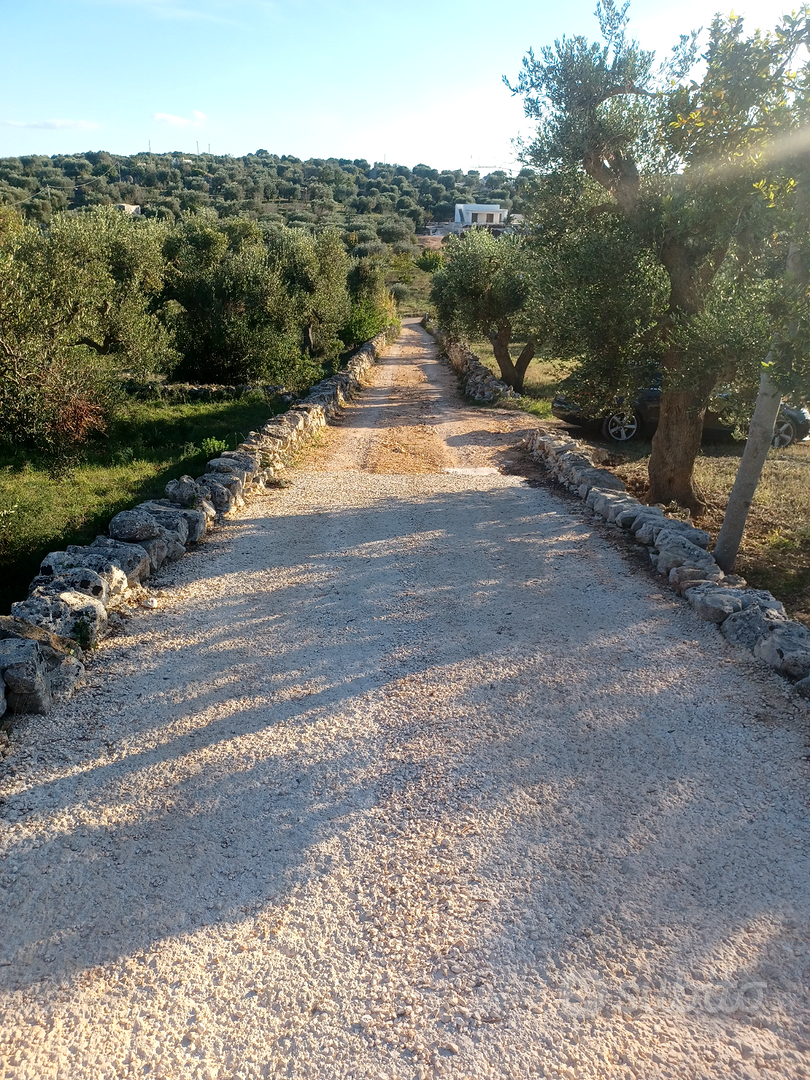 Terreno agricolo torretta ostunese uliveto - Vista 5
