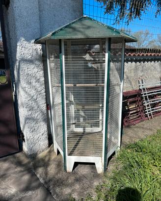 Gabbia per uccellini