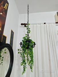 Pianta camera  appesa 