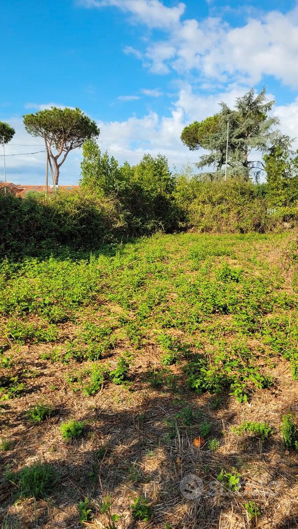 Terreno agricolo di 2500 mq con rustico sanato - Vista 4