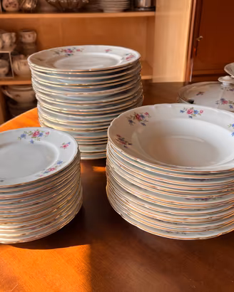 SERVIZIO PIATTI  VINTAGE STADTLENGSFELD 100 PEZZI