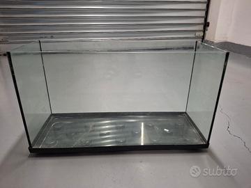 Acquario 100 lt