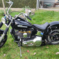 Harley Davidson softail custom