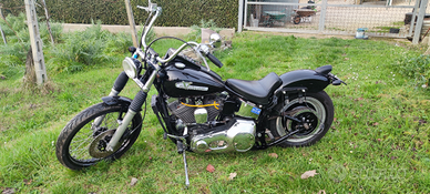 Harley Davidson softail custom