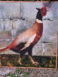 Quadri Pittore Ius Duilio