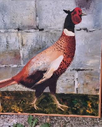 Quadri Pittore Ius Duilio