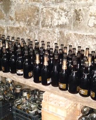 vino casareccio casertano