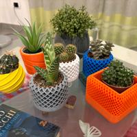 Vasi per piccole piante