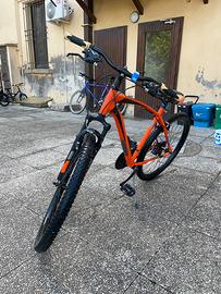Bici mountain bike
