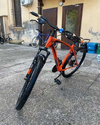 Bici mountain bike